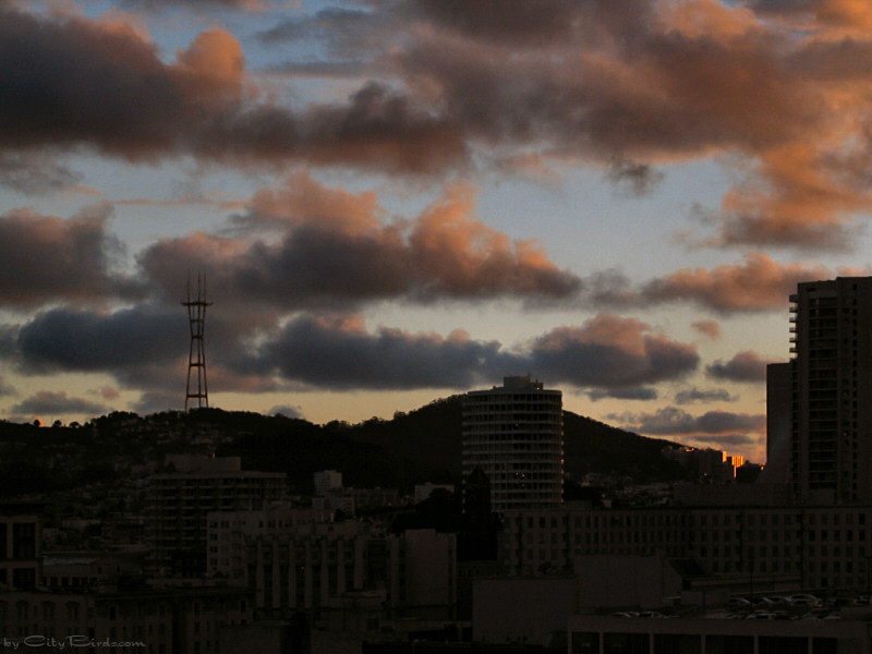 San Francisco Twilight