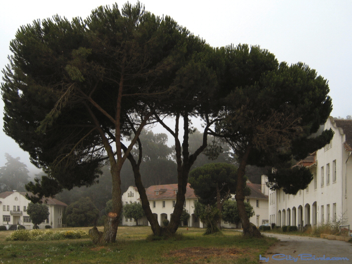Fort Scott