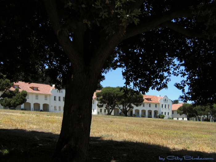 Fort Scott