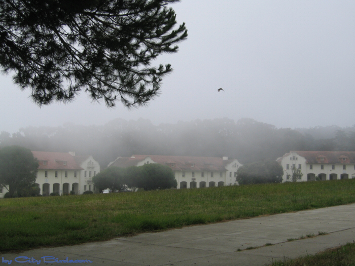 Fort Scott
