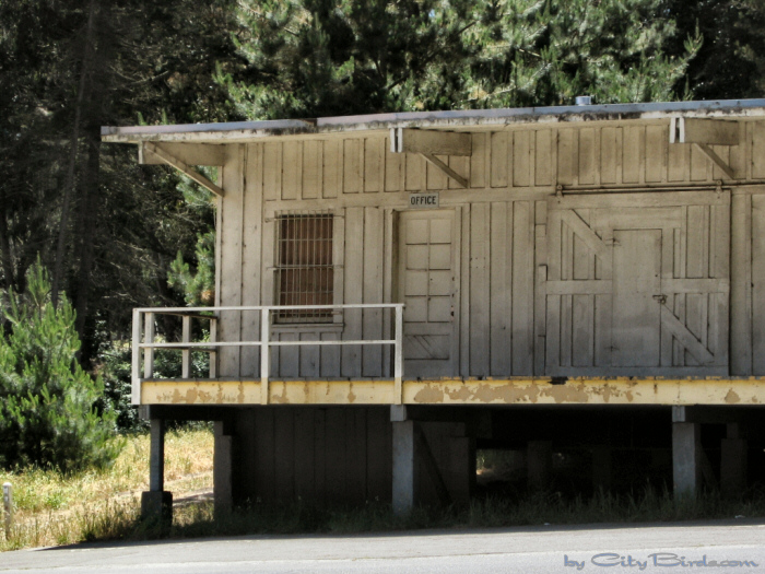 Fort Scott