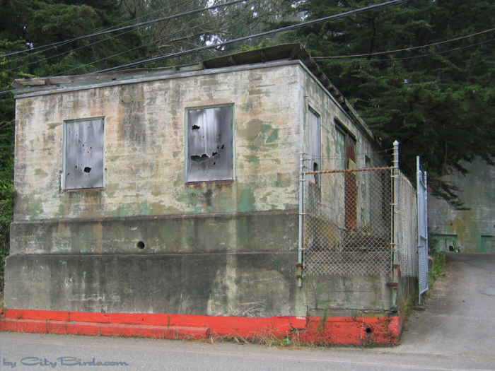 Fort Scott