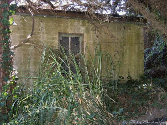 Fort Scott