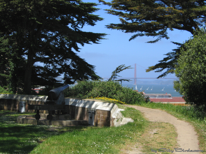 Shore Battery, Fort Mason.