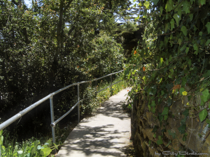 Black Point, Fort Mason.