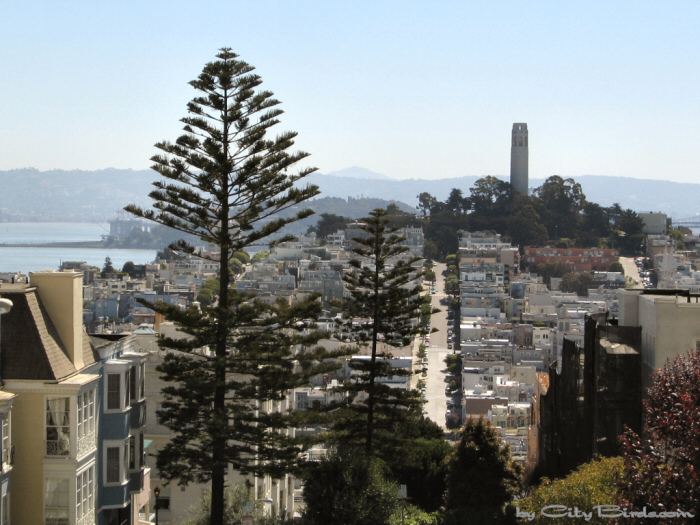 Coit Tower.