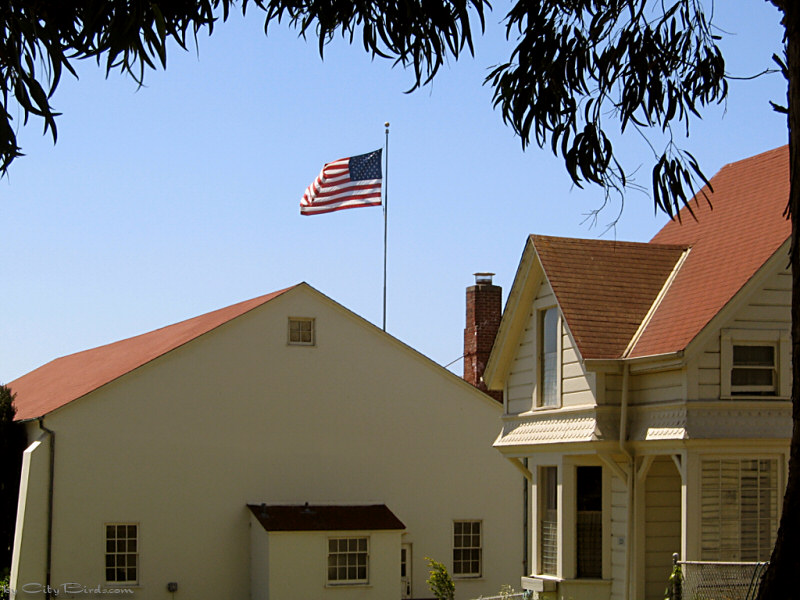 Fort Mason U.S. Flag