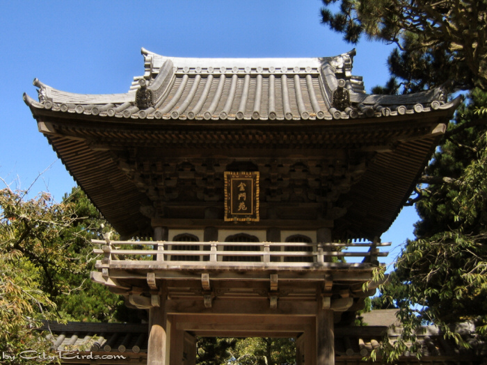 Japanese Tea Garden