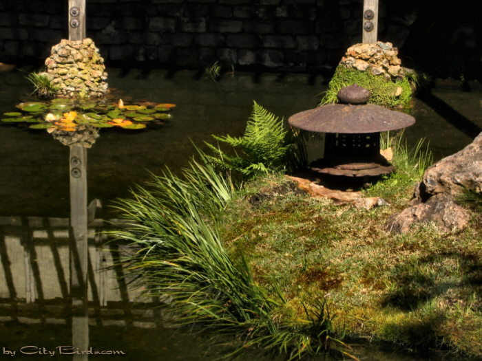 Japanese Tea Garden