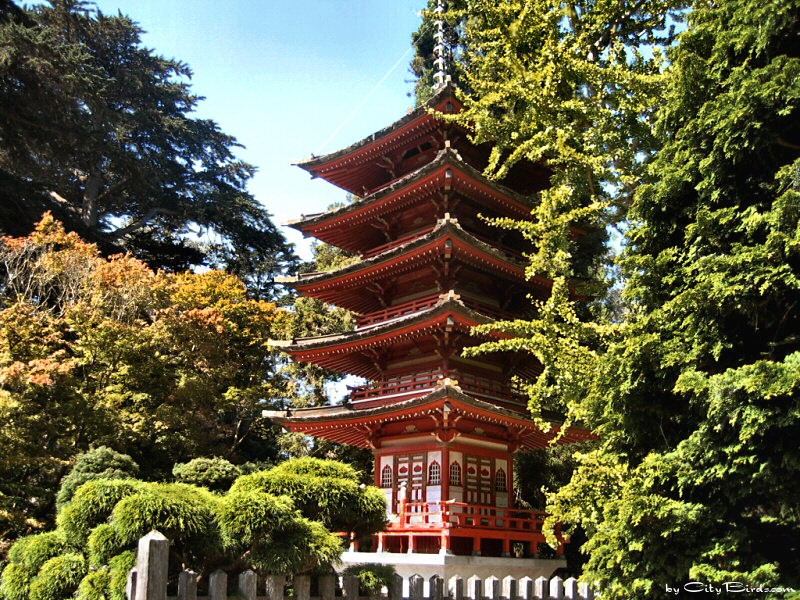 Japanese Tea Garden