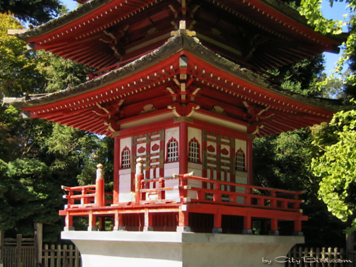 Japanese Tea Garden