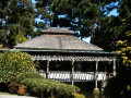 Japanese Tea Garden, San Francisco