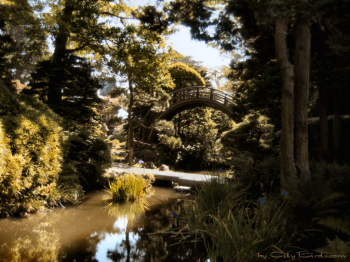 Japanese Tea Garden