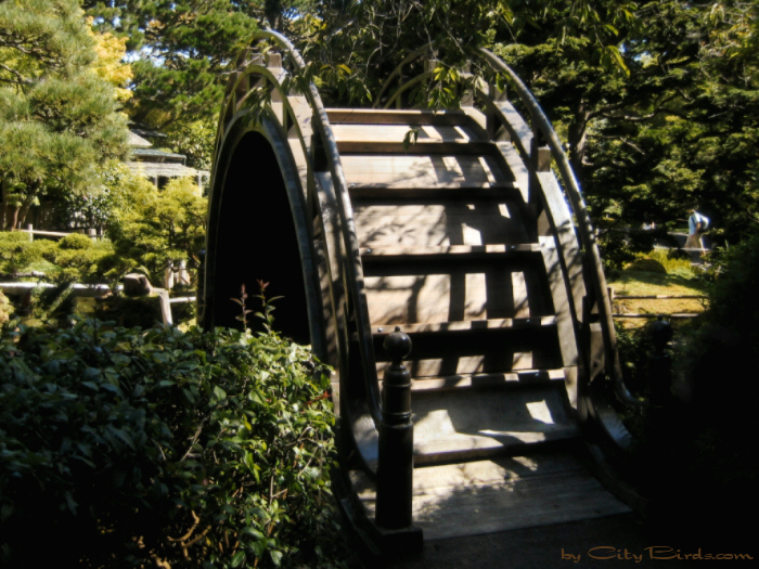 Japanese Tea Garden