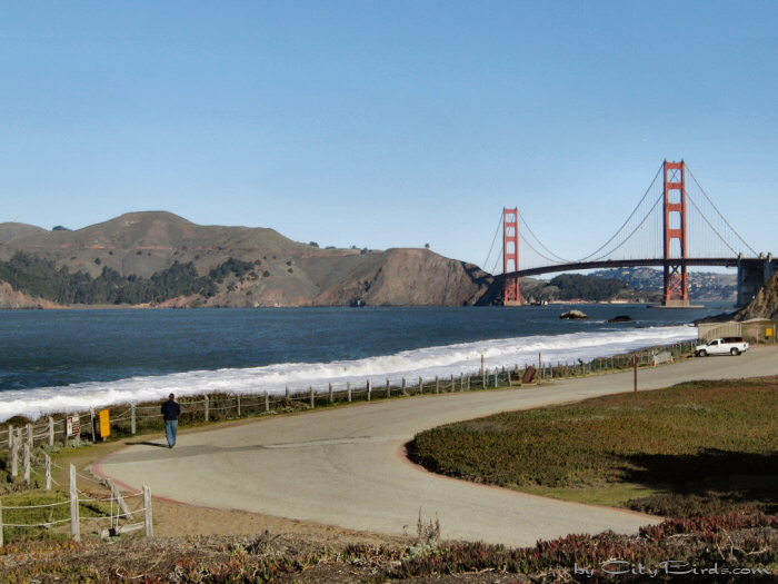 Golden Gate Bridge