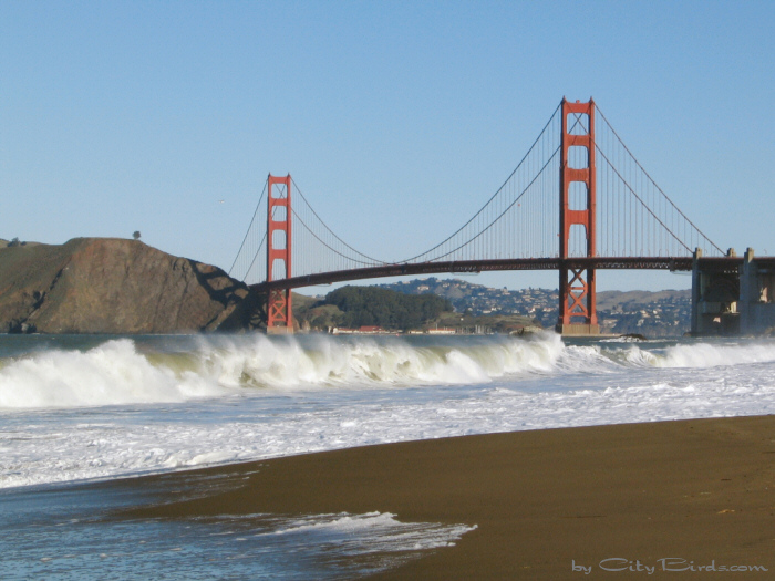 Golden Gate Bridge