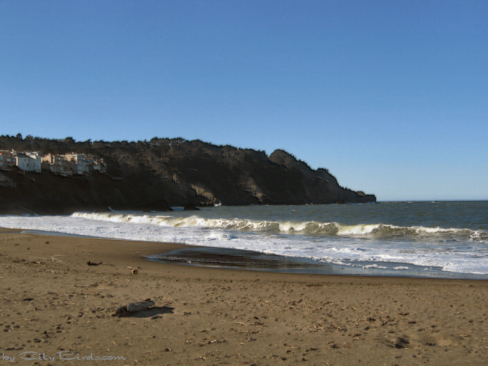 Baker Beach