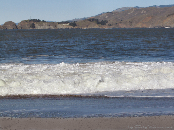Baker Beach