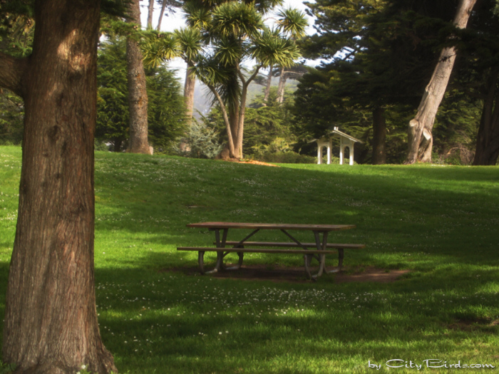 Sutro Heights
