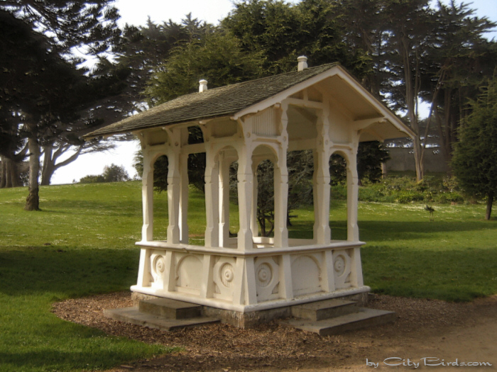 Sutro Heights Ruins