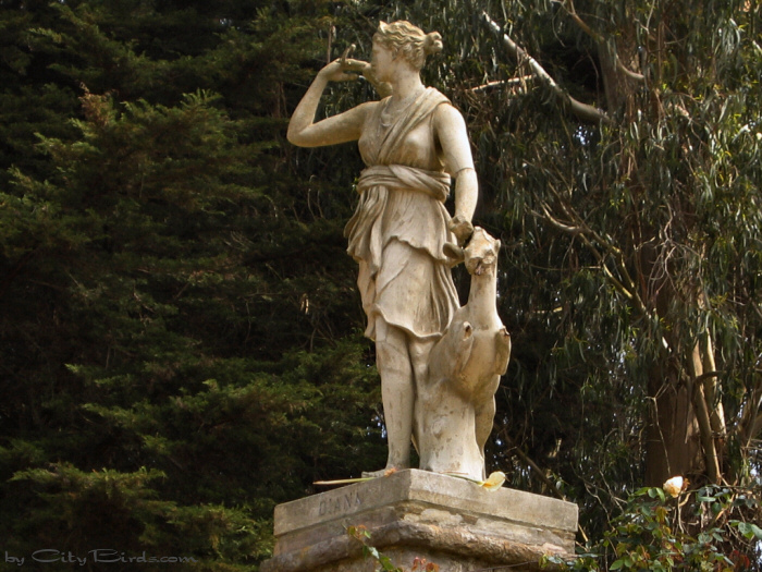Diana