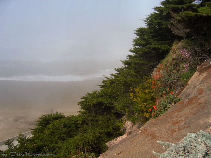Cliff