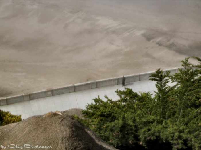 Sutro Heights