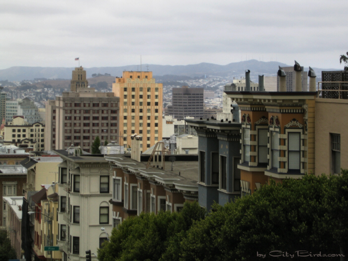 San Francisco Spring-Summer Weather
