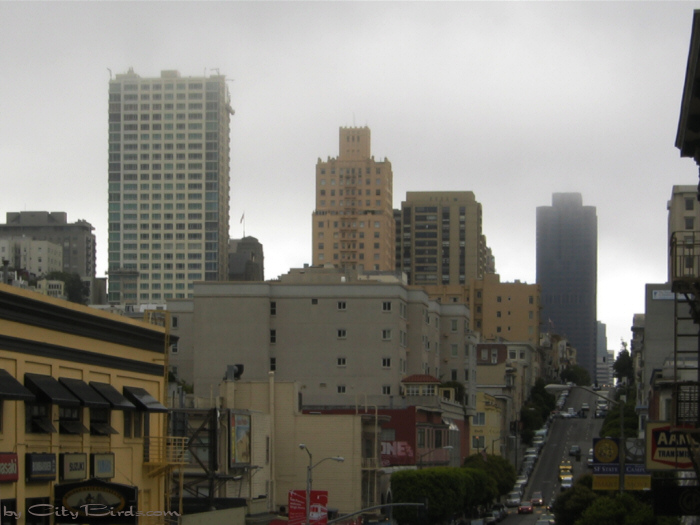 San Francisco Spring-Summer Weather