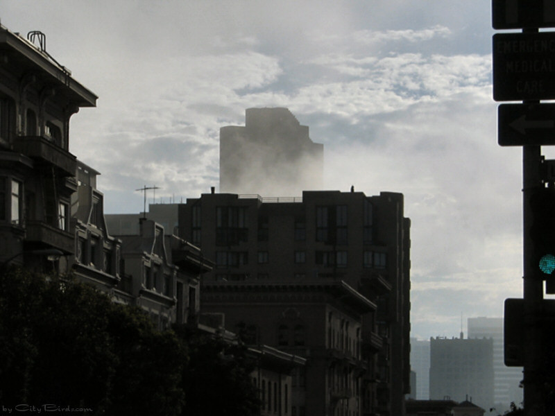 San Francisco Spring-Summer Weather