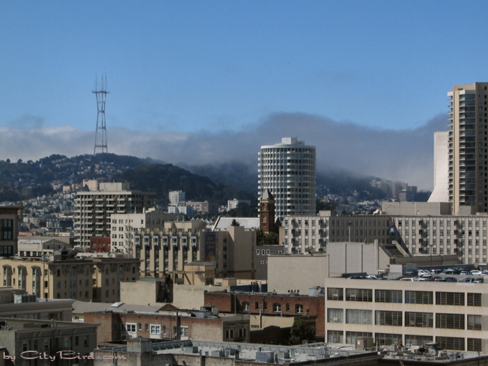 San Francisco Spring-Summer Weather