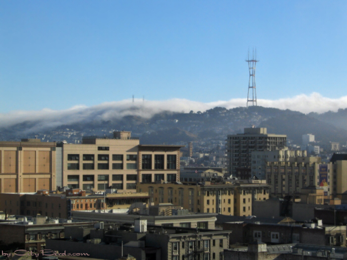 San Francisco Spring-Summer Weather