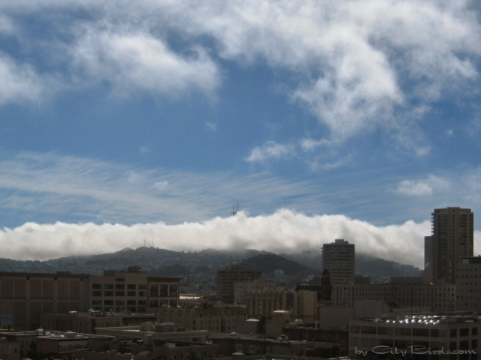 San Francisco Spring-Summer Weather