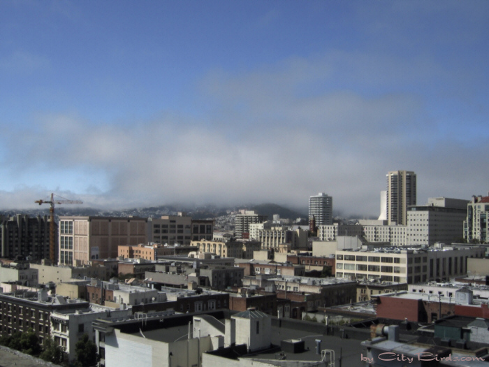 San Francisco Spring-Summer Weather