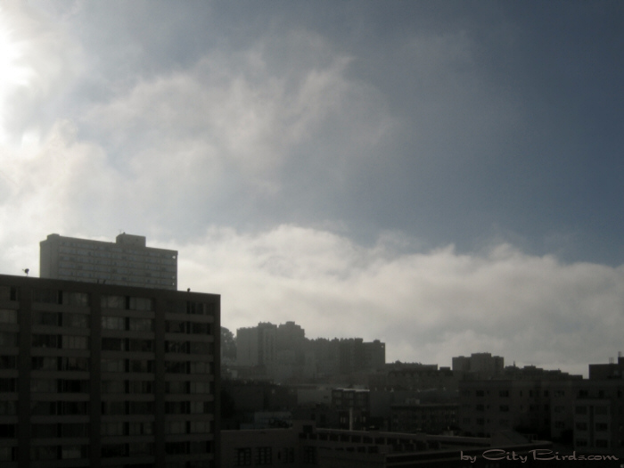 San Francisco Spring-Summer Weather