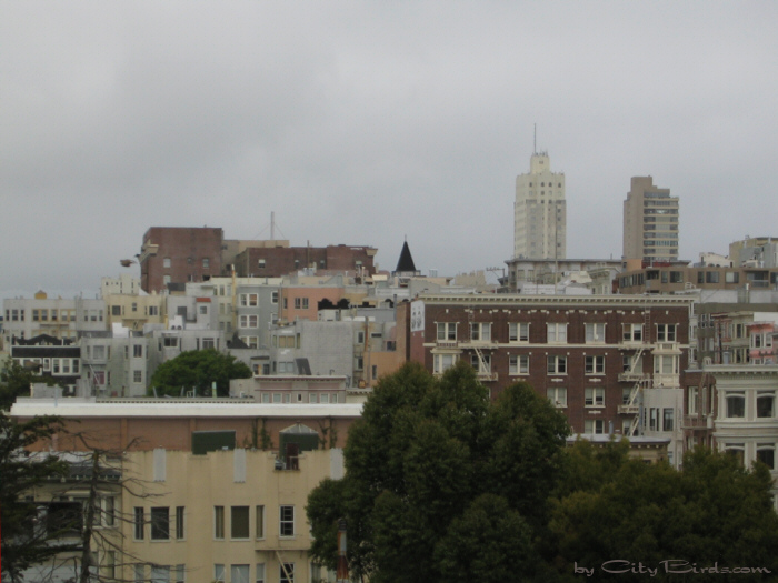 San Francisco Spring-Summer Weather