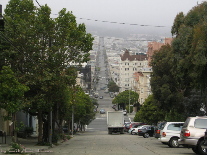 San Francisco Spring-Summer Weather