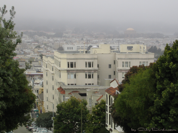 San Francisco Spring-Summer Weather