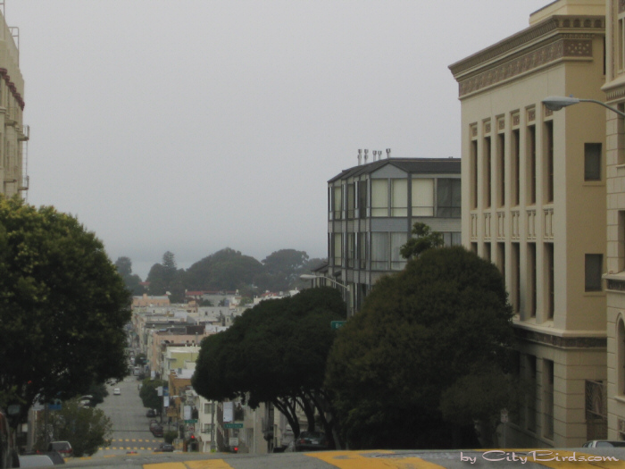 San Francisco Spring-Summer Weather
