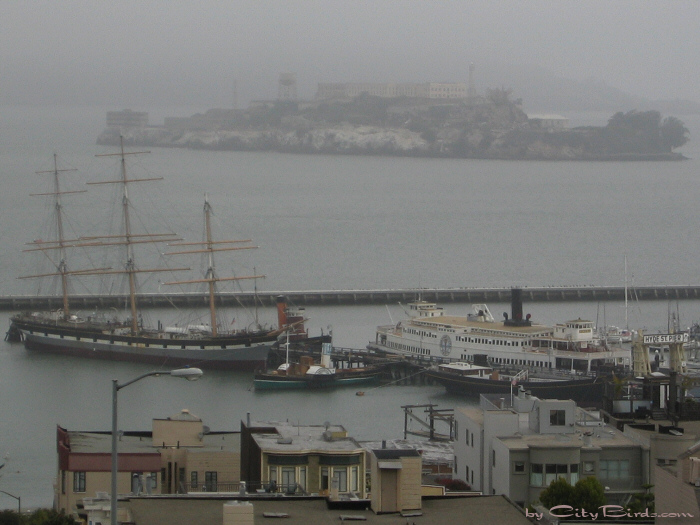 San Francisco Spring-Summer Weather