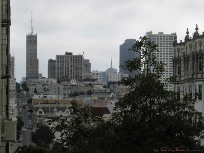 San Francisco Spring-Summer Weather