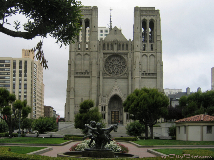 San Francisco Spring-Summer Weather