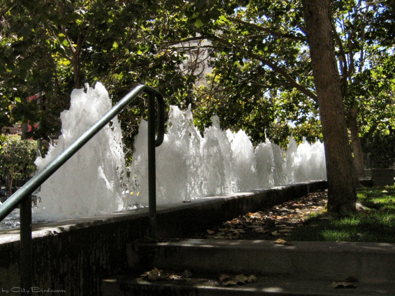 Yerba Buena Gardens, SF
