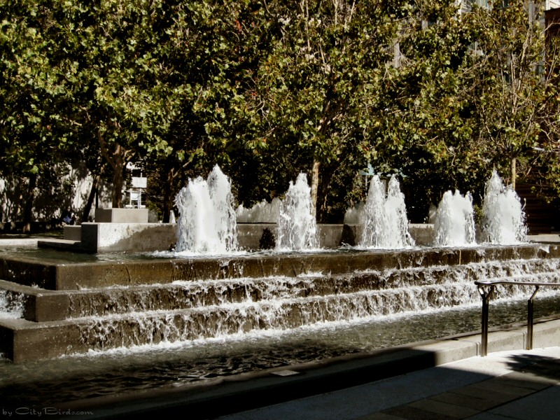 Yerba Buena Gardens, SF