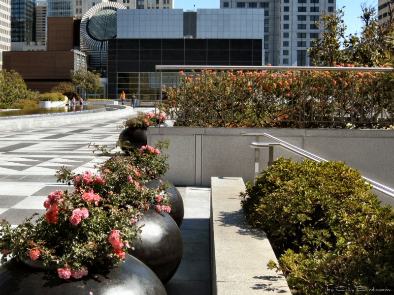 Yerba Buena Gardens, SF