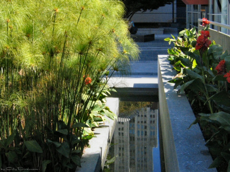Yerba Buena Gardens, SF