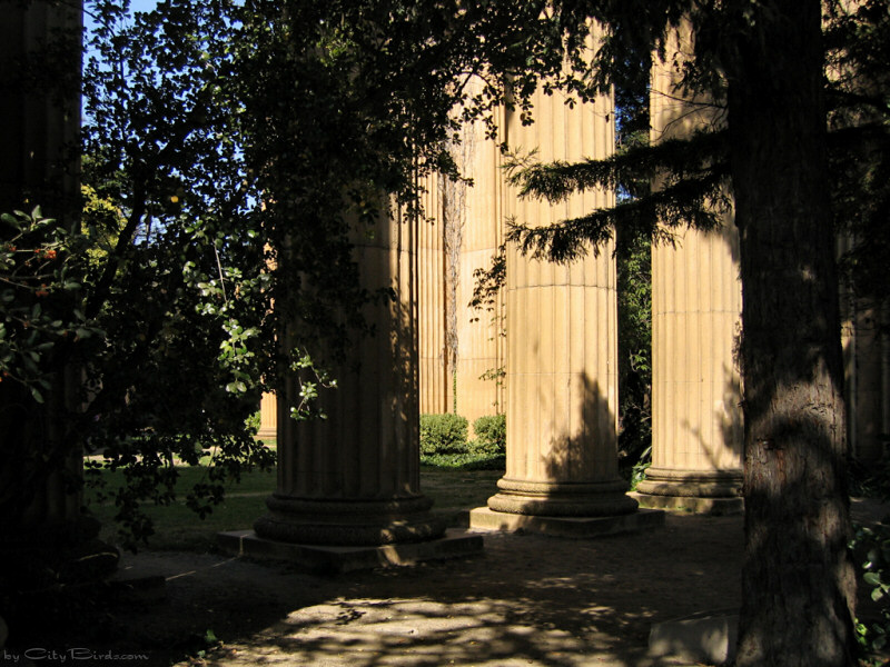 Palace of Fine Arts, SF