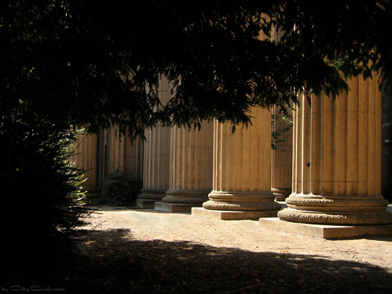 Palace of Fine Arts, SF