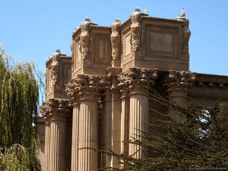 Palace of Fine Arts, SF