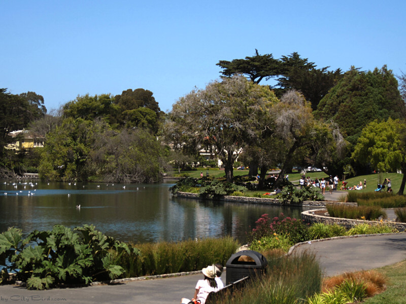 Palace of Fine Arts, SF